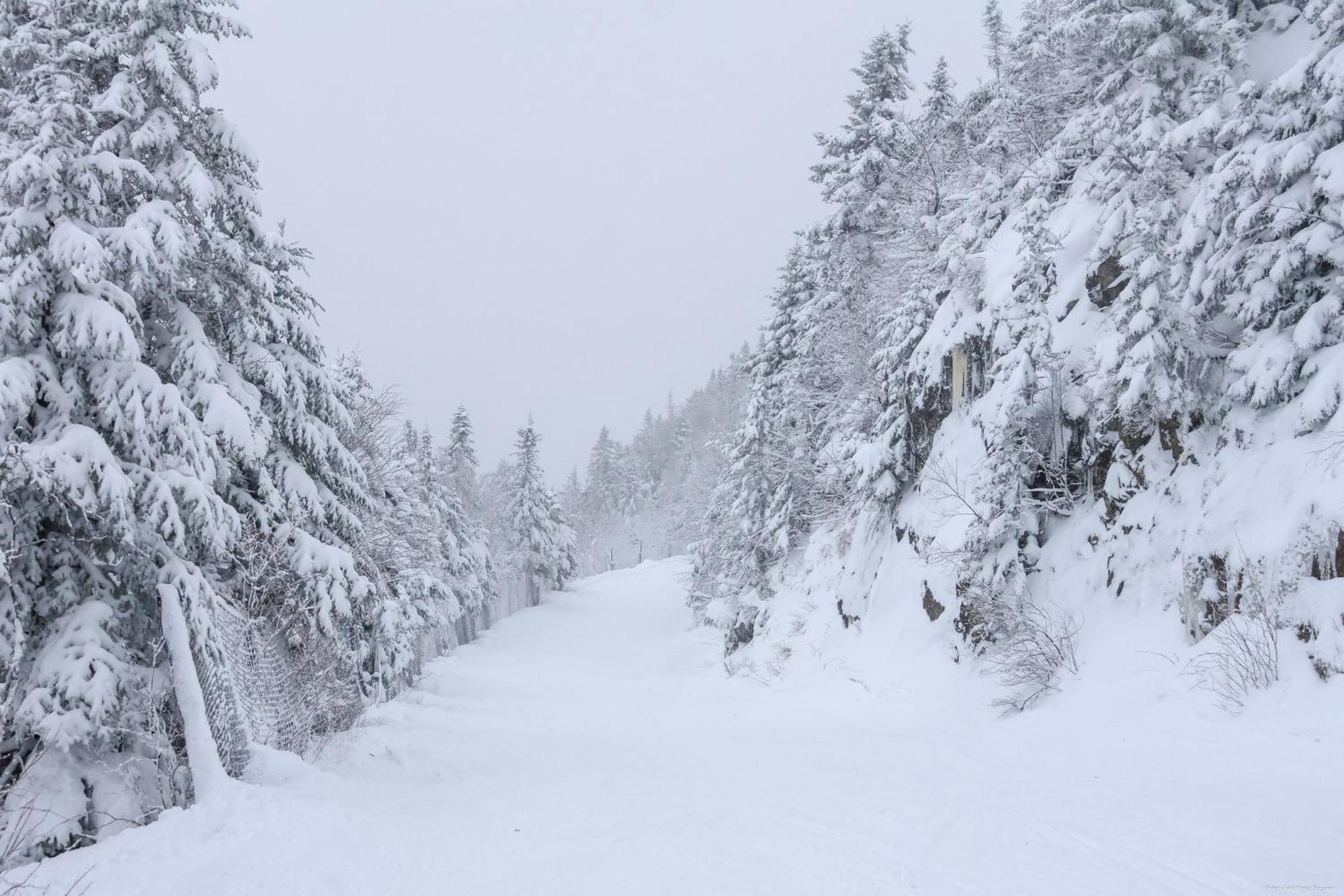 O'Berge Du Village C304 - Bord De L'Eau Magog Luaran gambar