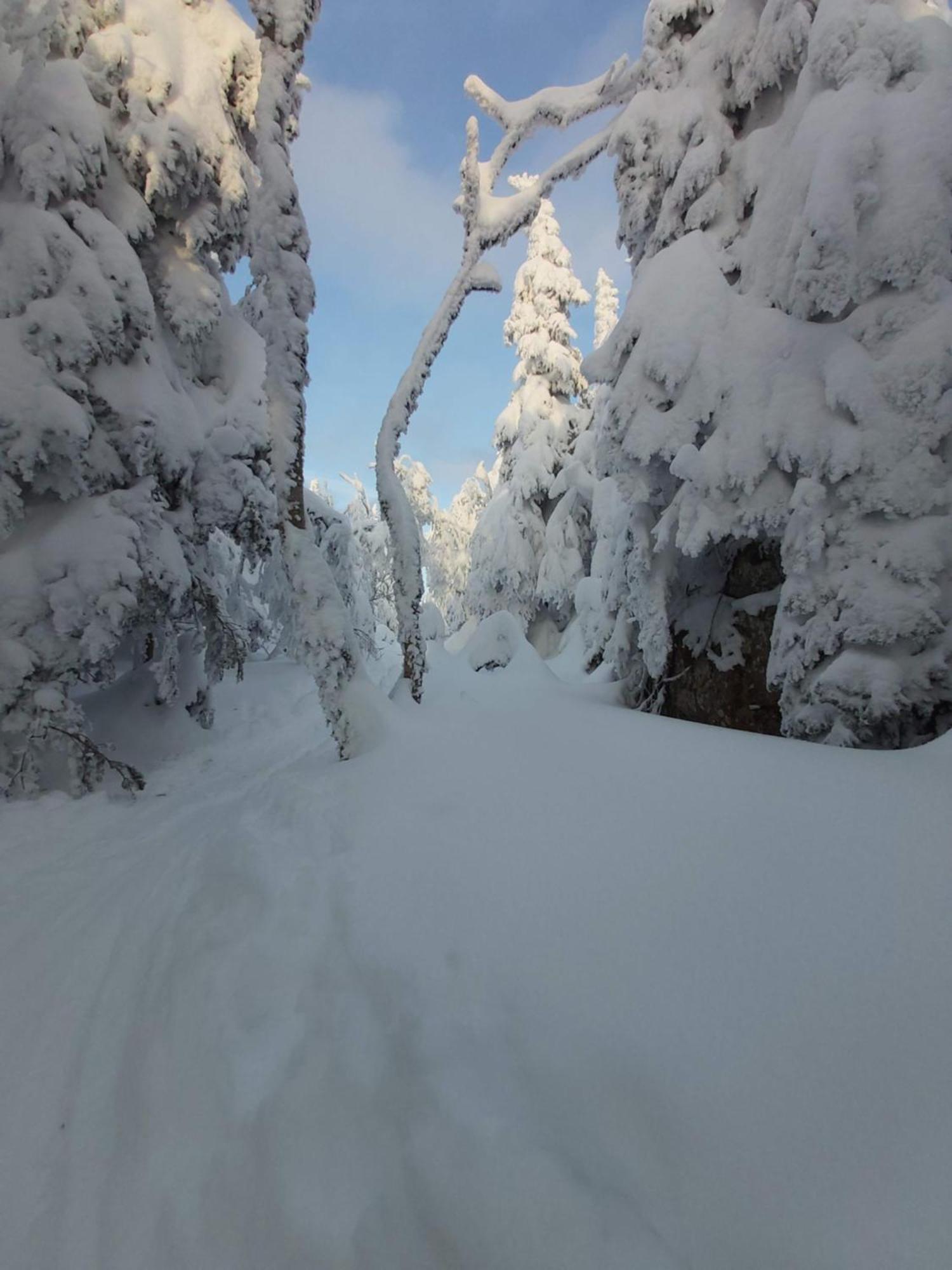 O'Berge Du Village C304 - Bord De L'Eau Magog Luaran gambar